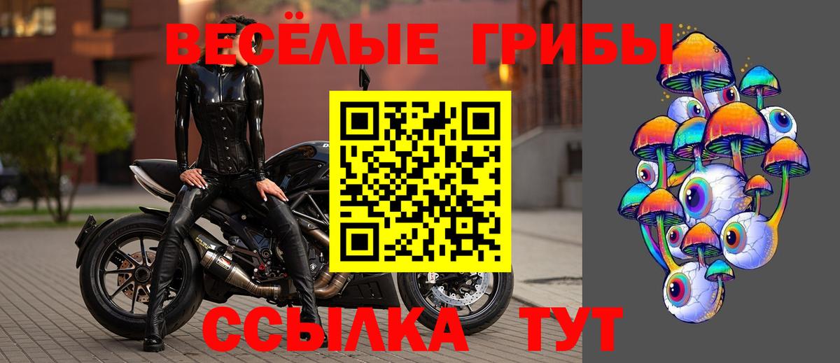 Псилоцибиновые грибы ЛСД Кохма